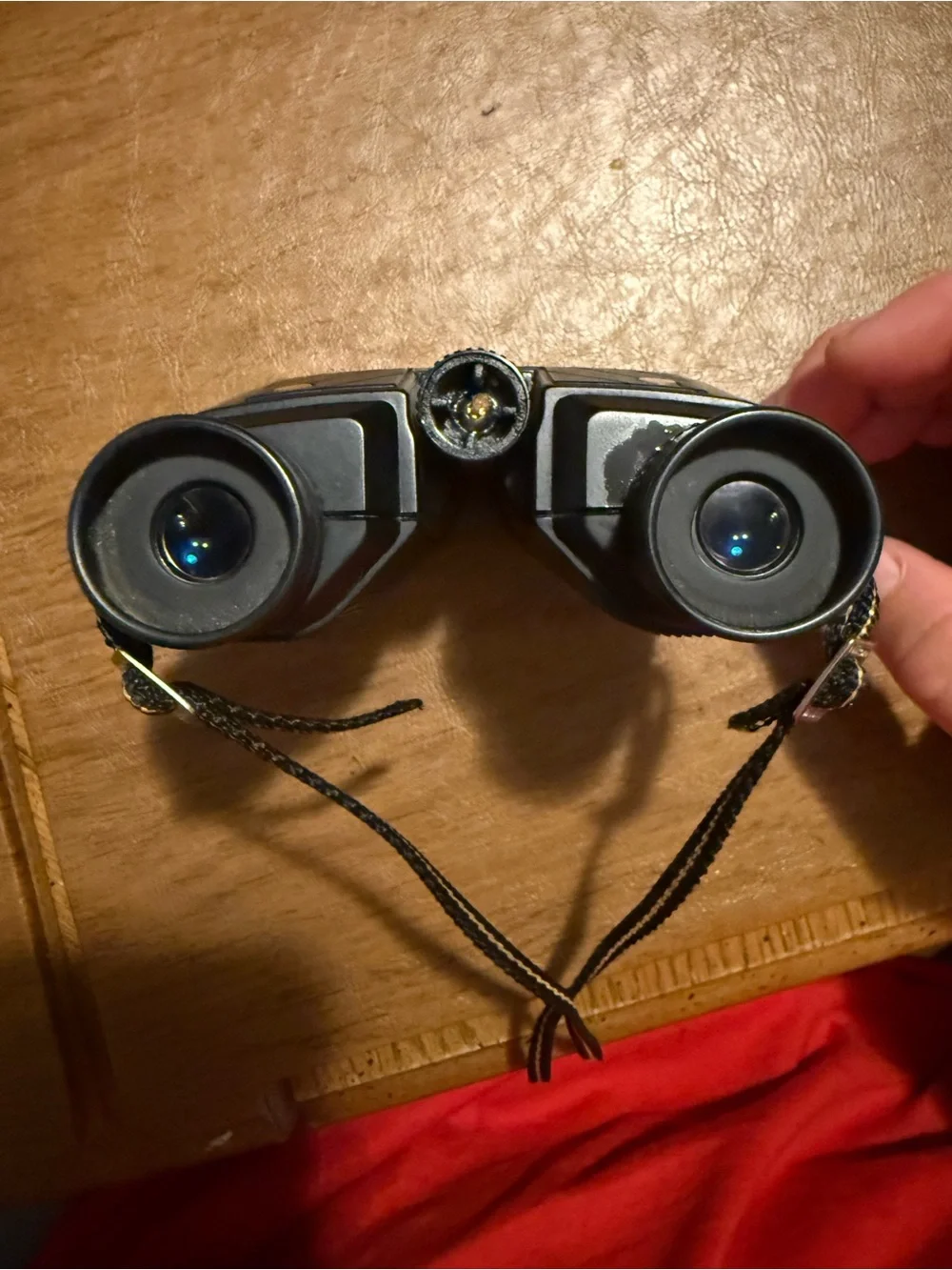 Nikon Black Compact Folding Binoculars with Gold Accents